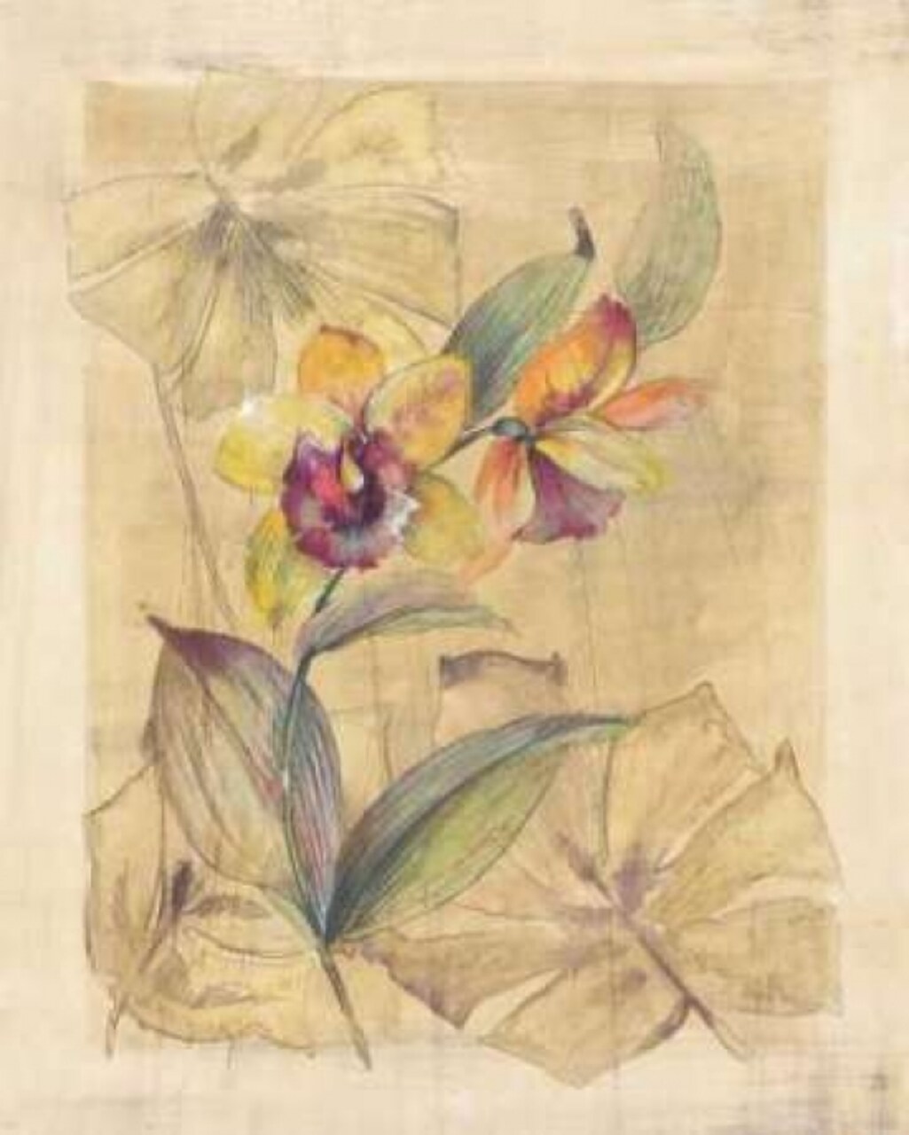 Bahama Breeze I Poster Print by Paul Hargittai - Item # VARPDXHAR197